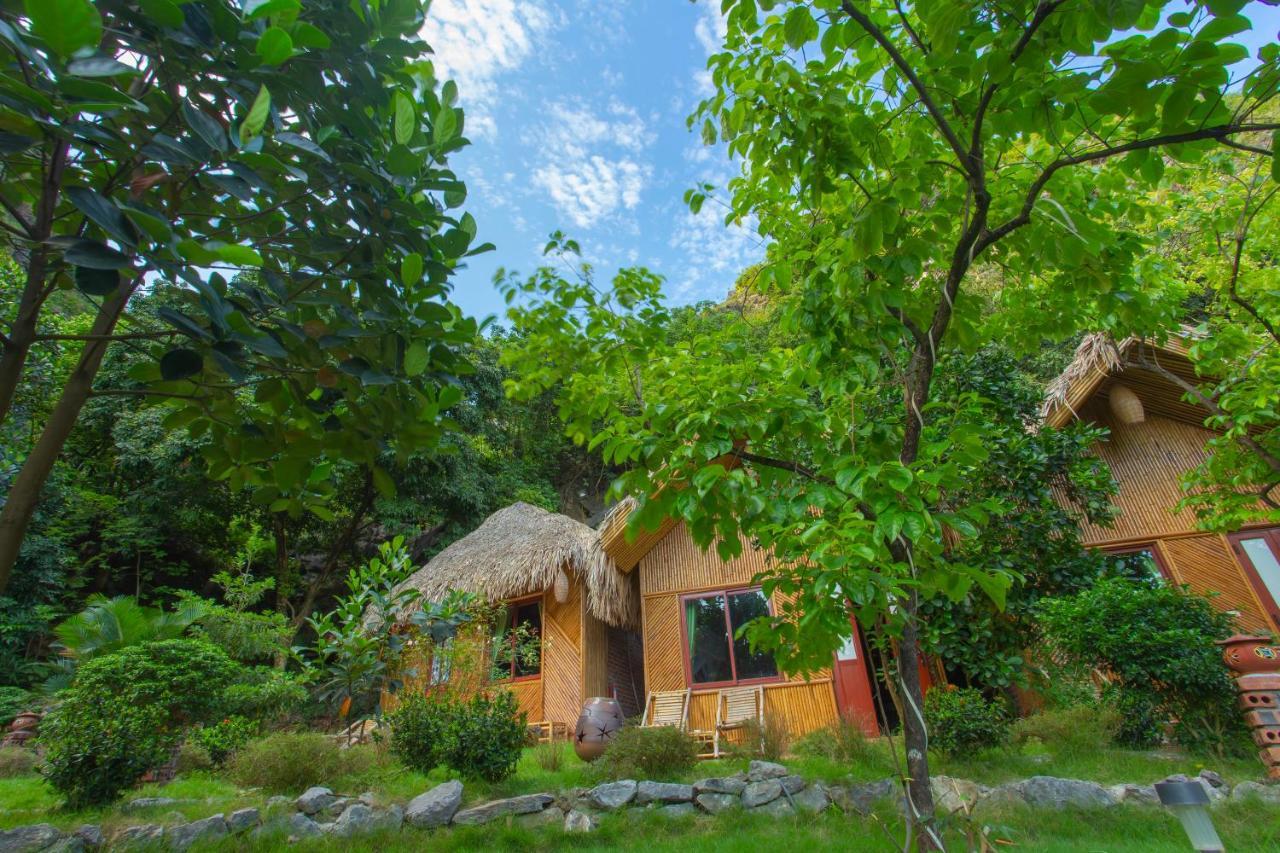 Mountain Ninh Bình