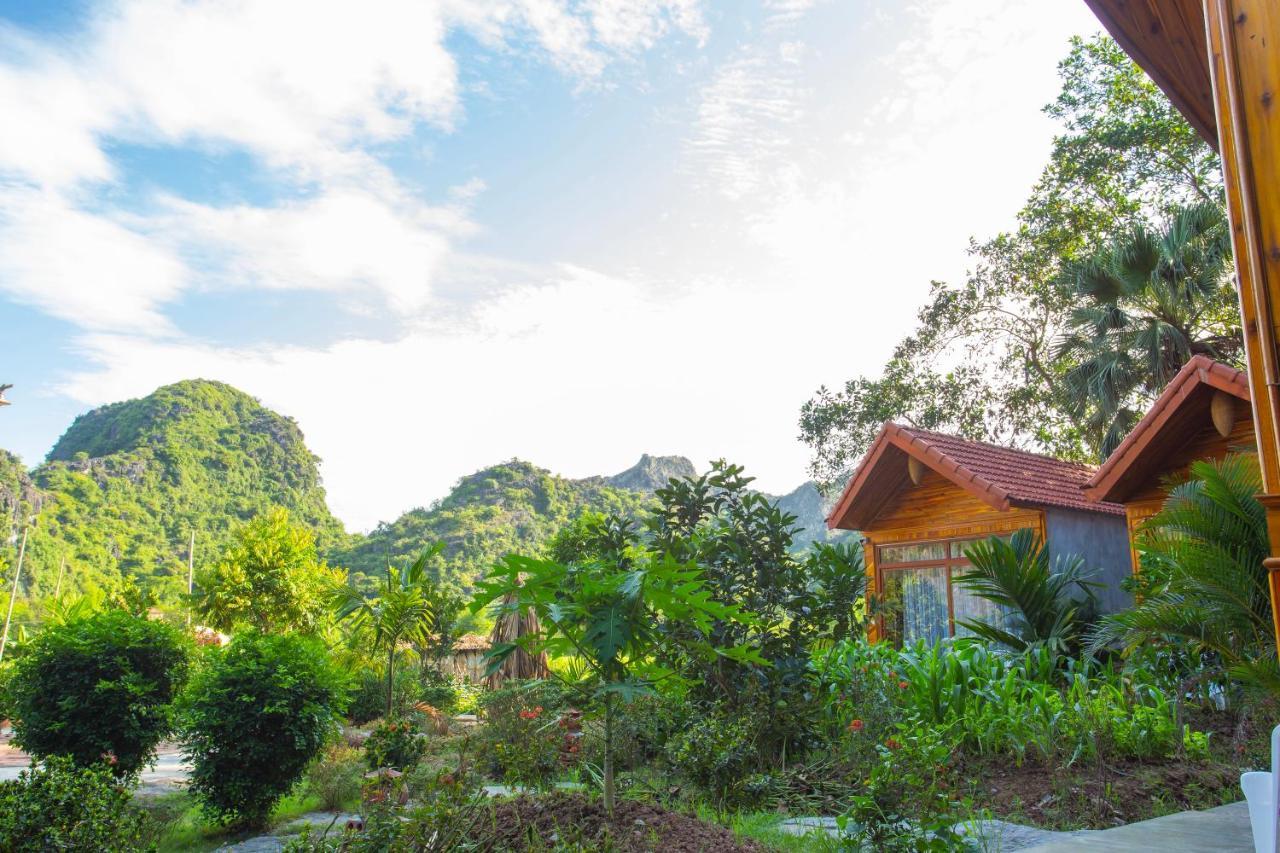 Lodge Mountain *